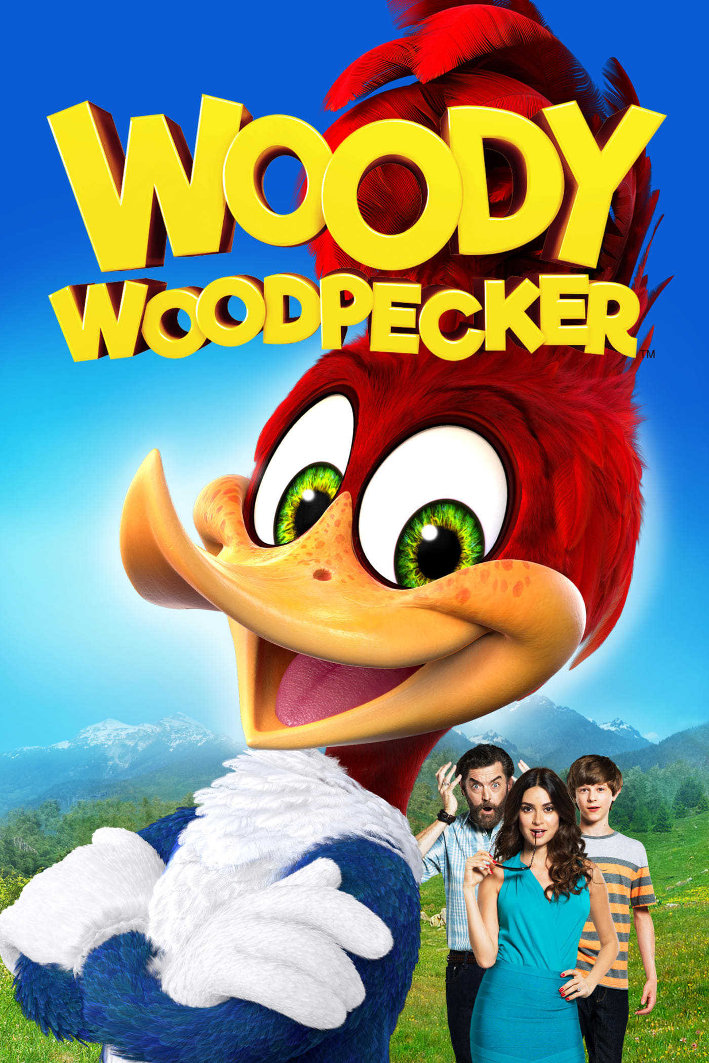 Chim Gõ Kiến Woody